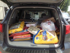 Bags of pet food in car