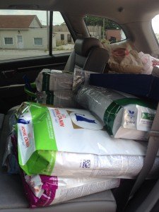 Bags of pet food in car